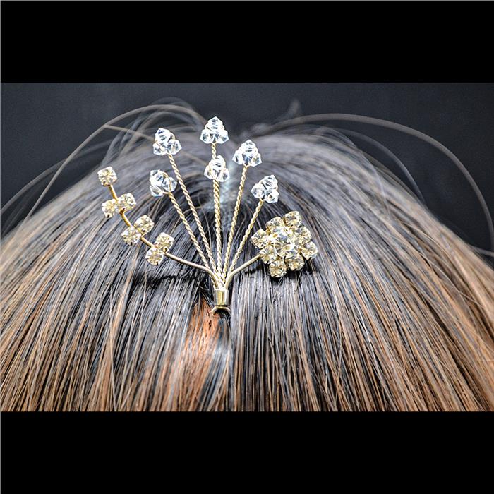 ACCONCIATURA SD-0901